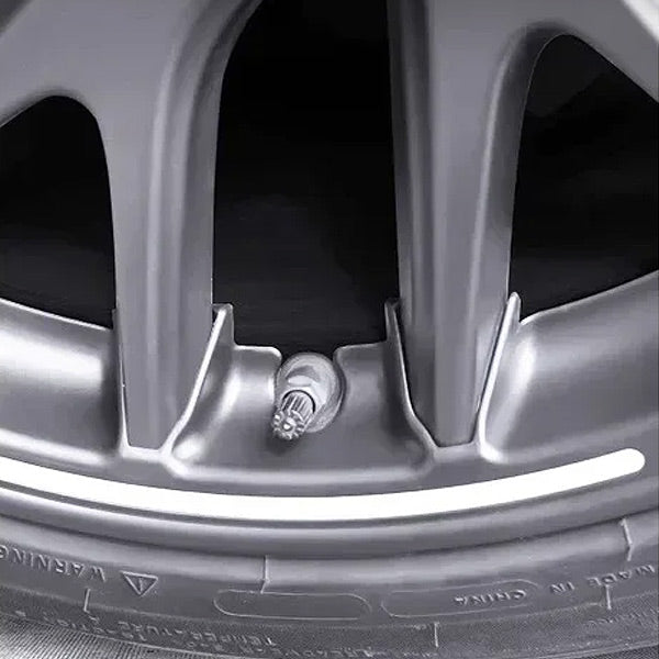 Protection de jantes<br> Tesla Model 3 Highland