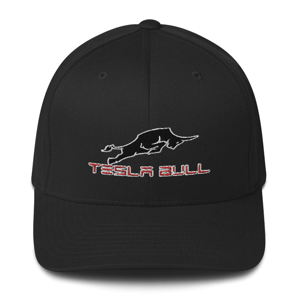 Casquette Tesla Bull - Model Sport