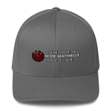 Casquette Tesla Mode Sentinelle - Model Sport