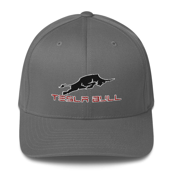 Casquette Tesla Bull - Model Sport