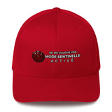 Casquette Tesla Mode Sentinelle - Model Sport