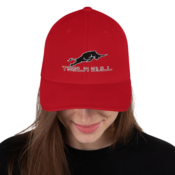 Casquette Tesla Bull - Model Sport
