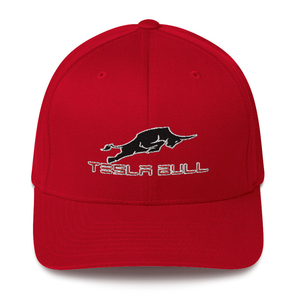 Casquette Tesla Bull - Model Sport