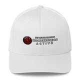 Casquette Tesla Mode Sentinelle - Model Sport