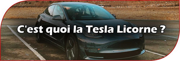 C'est quoi la Tesla Licorne ?