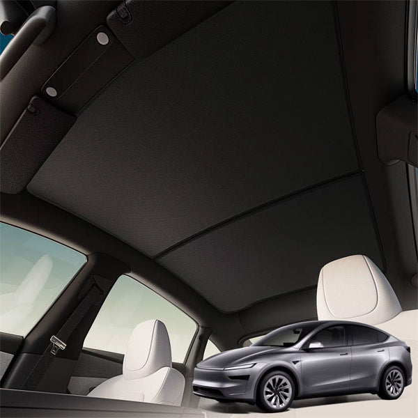 Carbon center console trim Tesla Model 3 - Y