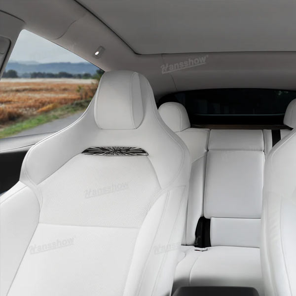 Sun visor panoramic roof<br> Tesla Model Y