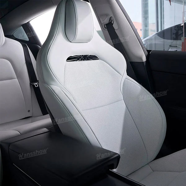 Sun visor panoramic roof<br> Tesla Model Y