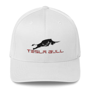 Casquette Tesla Bull - Model Sport