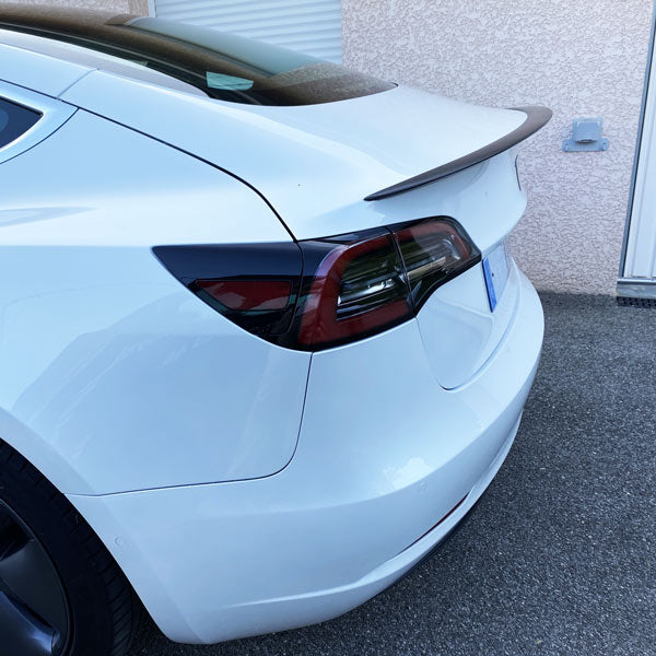 Accessoire Tesla Model 3 <br> Spoiler Ledge carbone<br> 3 finitions - Model Sport